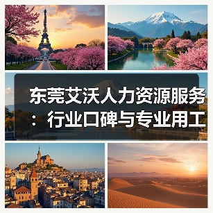 东莞艾沃人力资源服务：行业口碑与专业用工解决方案解析（图1）