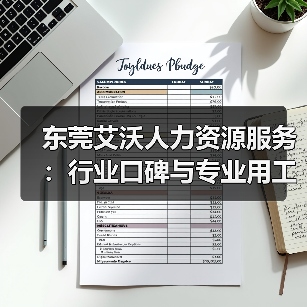 东莞艾沃人力资源服务：行业口碑与专业用工解决方案解析（图4）