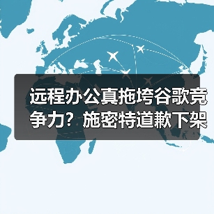 远程办公真拖垮谷歌竞争力?施密特道歉下架视频引热议(图1) 远程办公真拖垮谷歌竞争力?施密特道歉下架视频引热议(图1)