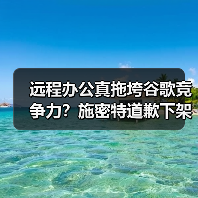 远程办公真拖垮谷歌竞争力?施密特道歉下架视频引热议(图4) 远程办公真拖垮谷歌竞争力?施密特道歉下架视频引热议(图4)