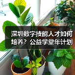 深圳数字技能人才如何培养？公益学堂年计划1万（图1）