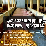 华为2025届应届生招聘提前启动，岗位有哪些？（图2）