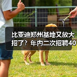 比亚迪郑州基地又放大招了?年内二次招聘4000人,月薪最高9000元(图3) 比亚迪郑州基地又放大招了?年内二次招聘4000人,月薪最高9000元(图3)