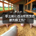 职工制止违法犯罪受伤是否算工伤?(图3) 职工制止违法犯罪受伤是否算工伤?(图3)