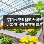 阜阳公积金新政大调整：额度提升多孩家庭与人才享支持（图4）