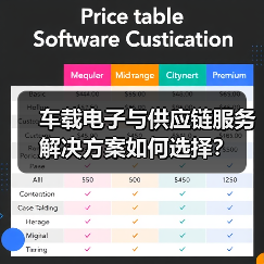 车载电子与供应链服务解决方案如何选择？（图4）
