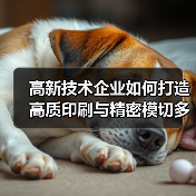高新技术企业如何打造高质印刷与精密模切多产业解决方案(图4) 高新技术企业如何打造高质印刷与精密模切多产业解决方案(图4)