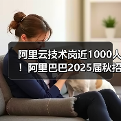 阿里云技术岗近1000人！阿里巴巴2025届秋招技术类占比超80%（图3）