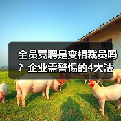 全员竞聘是变相裁员吗？企业需警惕的4大法律陷阱（图3）