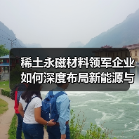 稀土永磁材料领军企业如何深度布局新能源与节能市场?(图2) 稀土永磁材料领军企业如何深度布局新能源与节能市场?(图2)
