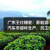广东王仕精密:新能源汽车零部件生产,员工福利与成长机会解析(图2) 广东王仕精密:新能源汽车零部件生产,员工福利与成长机会解析(图2)