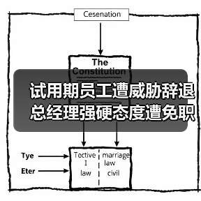 试用期员工遭威胁辞退 总经理强硬态度遭免职（图1）