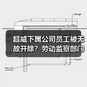 超威下属公司员工被无故开除？劳动监察部门回应（图3）