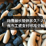 病假最长能休多久？23省市工资支付标准全解析（图3）