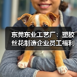 东莞东业工艺厂：塑胶丝花制造企业员工福利全解析（图2）
