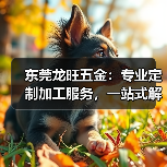 东莞龙旺五金:专业定制加工服务,一站式解决企业制造需求(图2) 东莞龙旺五金:专业定制加工服务,一站式解决企业制造需求(图2)