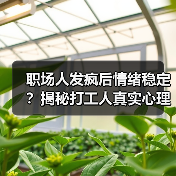 职场人发疯后情绪稳定?揭秘打工人真实心理变化(图4) 职场人发疯后情绪稳定?揭秘打工人真实心理变化(图4)